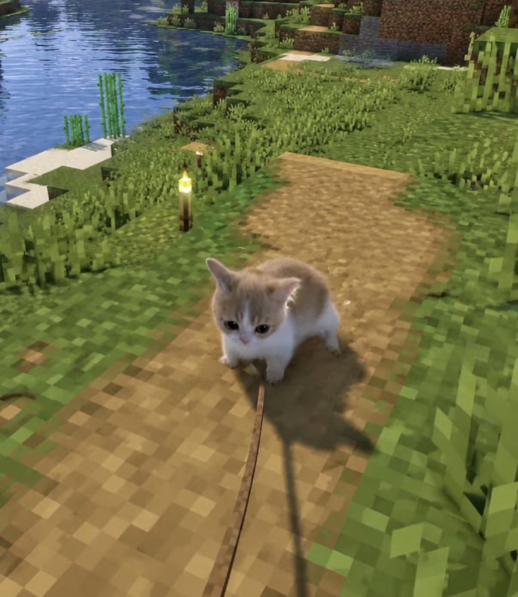 twaniimals's tweet photo. https://t.co/WwznaZ67op