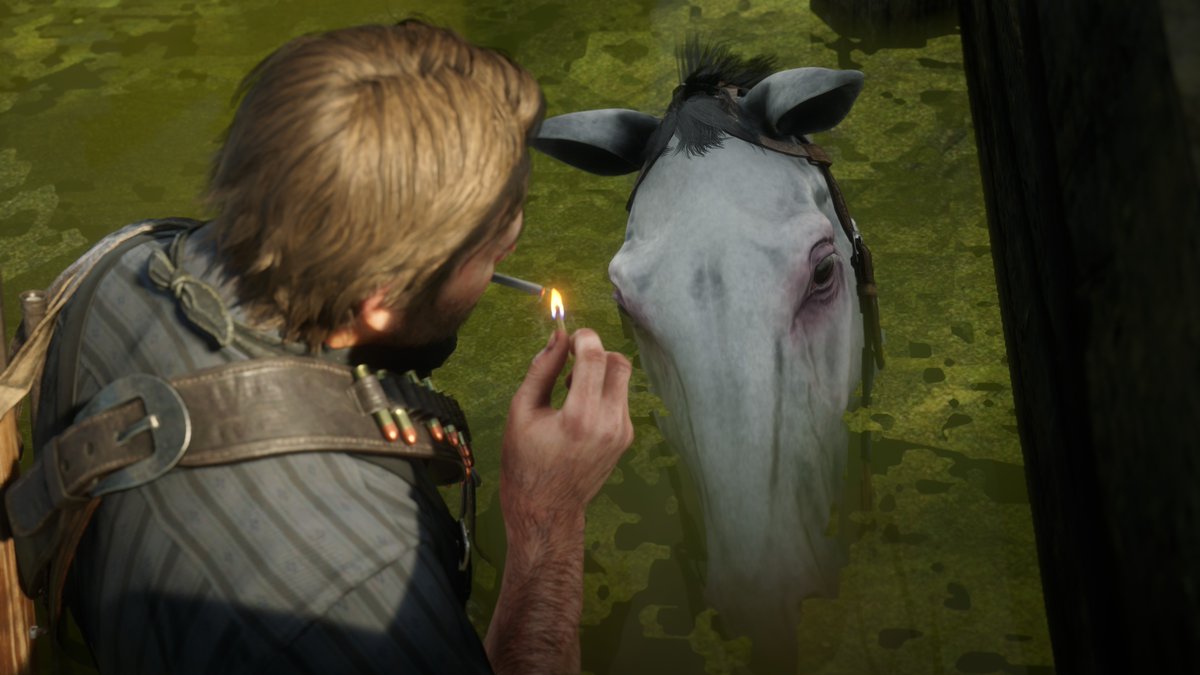 iJixaw's tweet photo. RIP my homie snitch. was a good horse. died of accidental water being underneath us. smoked one out for the homie. rest in piece big dog https://t.co/6KcOqEanL7