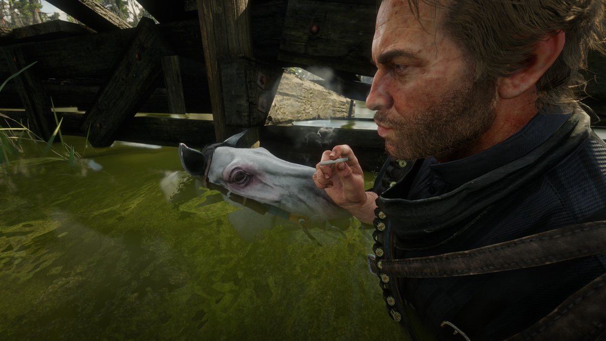 iJixaw's tweet photo. RIP my homie snitch. was a good horse. died of accidental water being underneath us. smoked one out for the homie. rest in piece big dog https://t.co/6KcOqEanL7