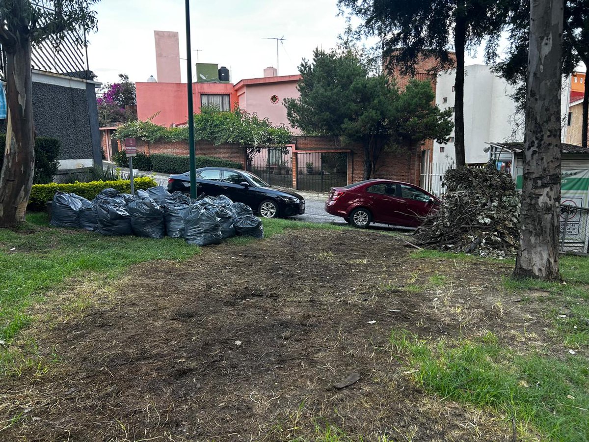 rirovictor's tweet photo. @GobNau
#Naucalpan #ServiciosPublicosNaucalpan #LomasVerdes
Vecinos calle Rocallosas Lomas Verdes 4  sec notificamos a gob naucalpan que se hizo poda el 7 sep área verde propiedad municipal y a fecha no han venido por el corte y ya se pudrio Vecinos lo embolsamos, recogerlo x fav https://t.co/Z5rYPWIyas