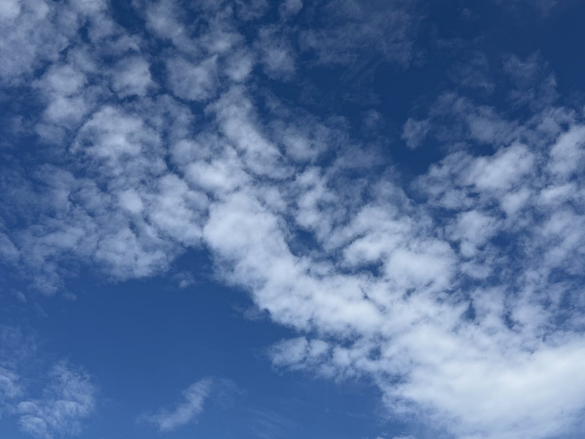 oceanmarine00's tweet photo. おはようございます！
本日の泉大津市は少し雲が見えますが、全体的に青空が広がっています。
風もなく少し暑い天気です。
今日も気をつけてすごしてください！！
＃イマソラ　＃泉大津市
＃企業公式が地元の天気を言い合う
 #中秋の名月
 #プリンの日
 #月見酒の日 https://t.co/efDmaBychX