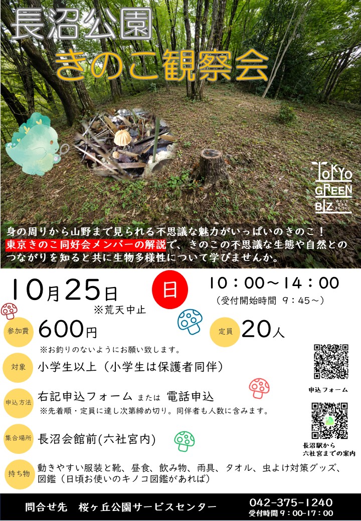 ParksNaganuma's tweet photo. 🍄10月25日(日)に長沼公園きのこ観察会🍄を開催します。
長沼公園を歩きながらたくさんのきのこを観察しませんか？講師による解説もあります！ご応募はお早めに！
詳細はポスターをご覧ください。

ご応募はこちら↓
https://t.co/bS7yDzJZ39

＃きのこ　＃菌類　＃観察 https://t.co/2r2WIqFICi