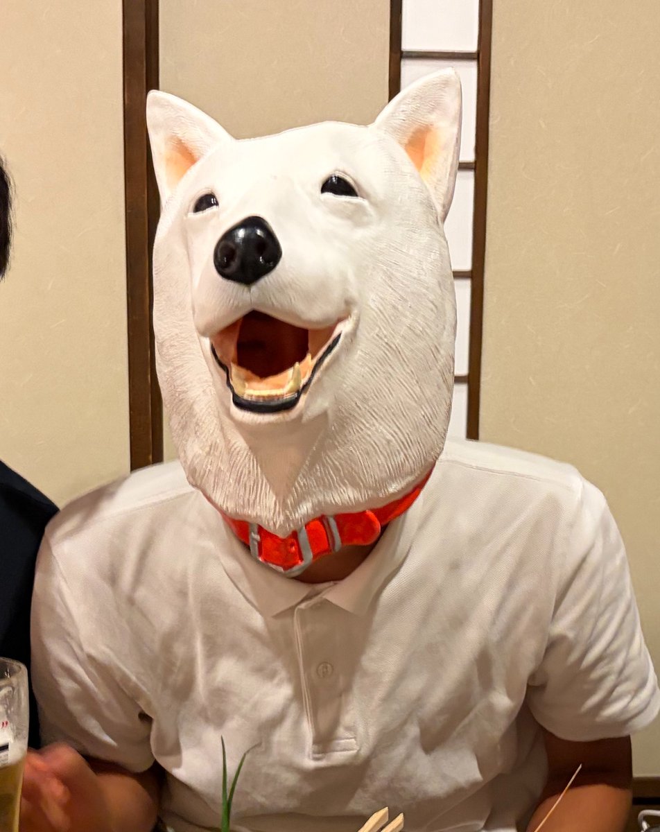ebisawacapo's tweet photo. 分からない方向けに説明すると、これくらい犬。 https://t.co/vsQbrDvCHt