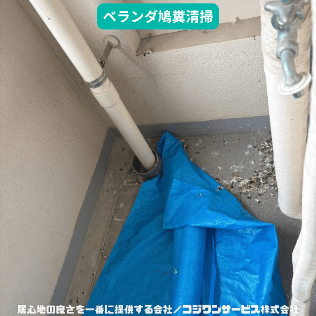 cozyone_PR's tweet photo. 【施工事例ブログ更新】
たった一ヵ月で鳩が寄り付いてしまう…あるんですよね(;^_^A

『大阪市北区でベランダ鳩糞清掃』

- ハウスクリーニング専門店のコジワンサービス(株) -https://t.co/2OfQLTXd8m https://t.co/ldKiQWckPl