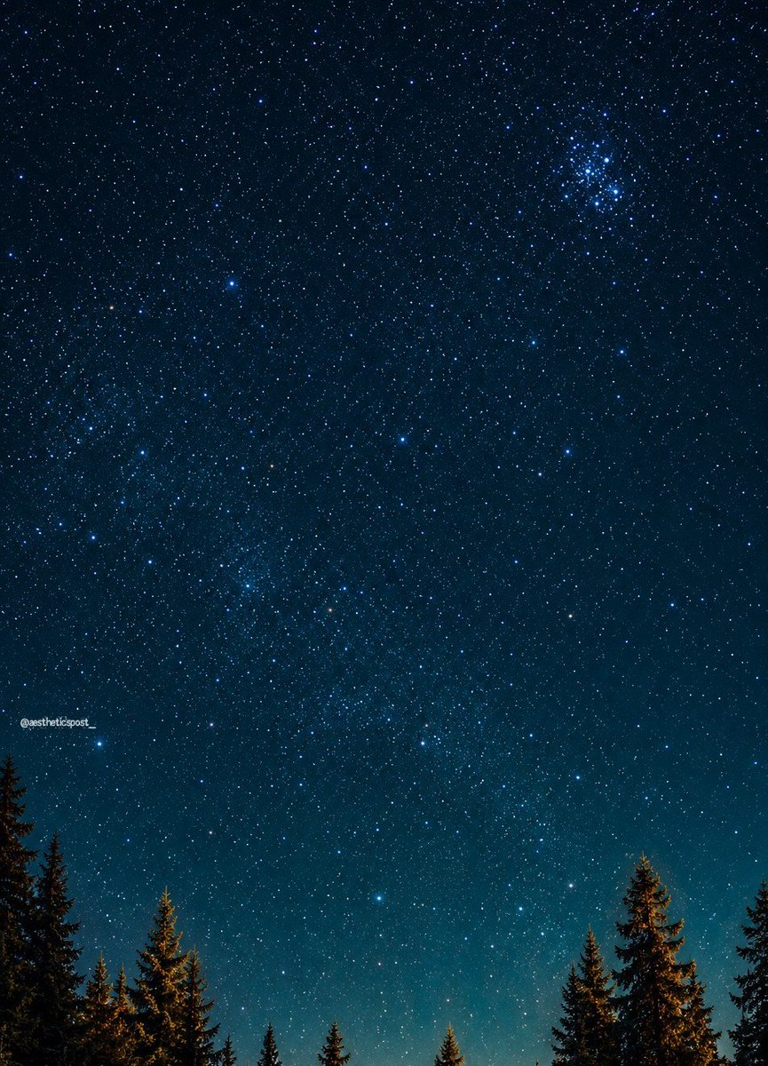 aestheticspost_ tweet picture