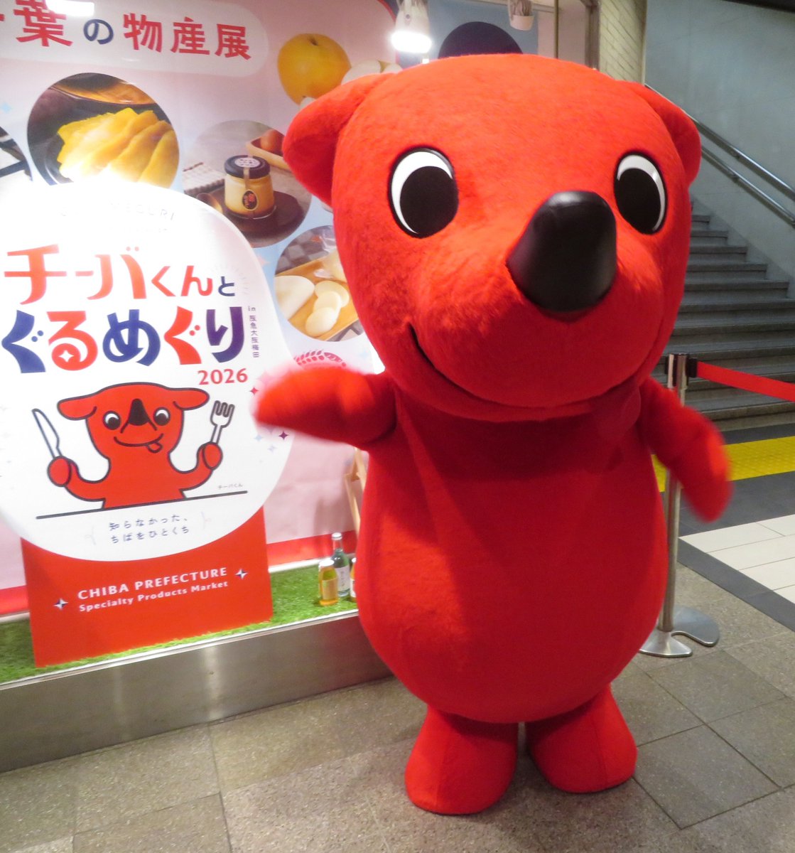 ofurumin's tweet photo. 少なくとも私はチーバくんが来るって書いてあったから梅田まで行って、買い物もしてきたよ
有名な場所だからイベントするのも前々から決まってたんだろうし
駅の改札内だけど行きやすいように、ICカードで入場すれば20分は無料なんだよ https://t.co/0l7PfNpuJy