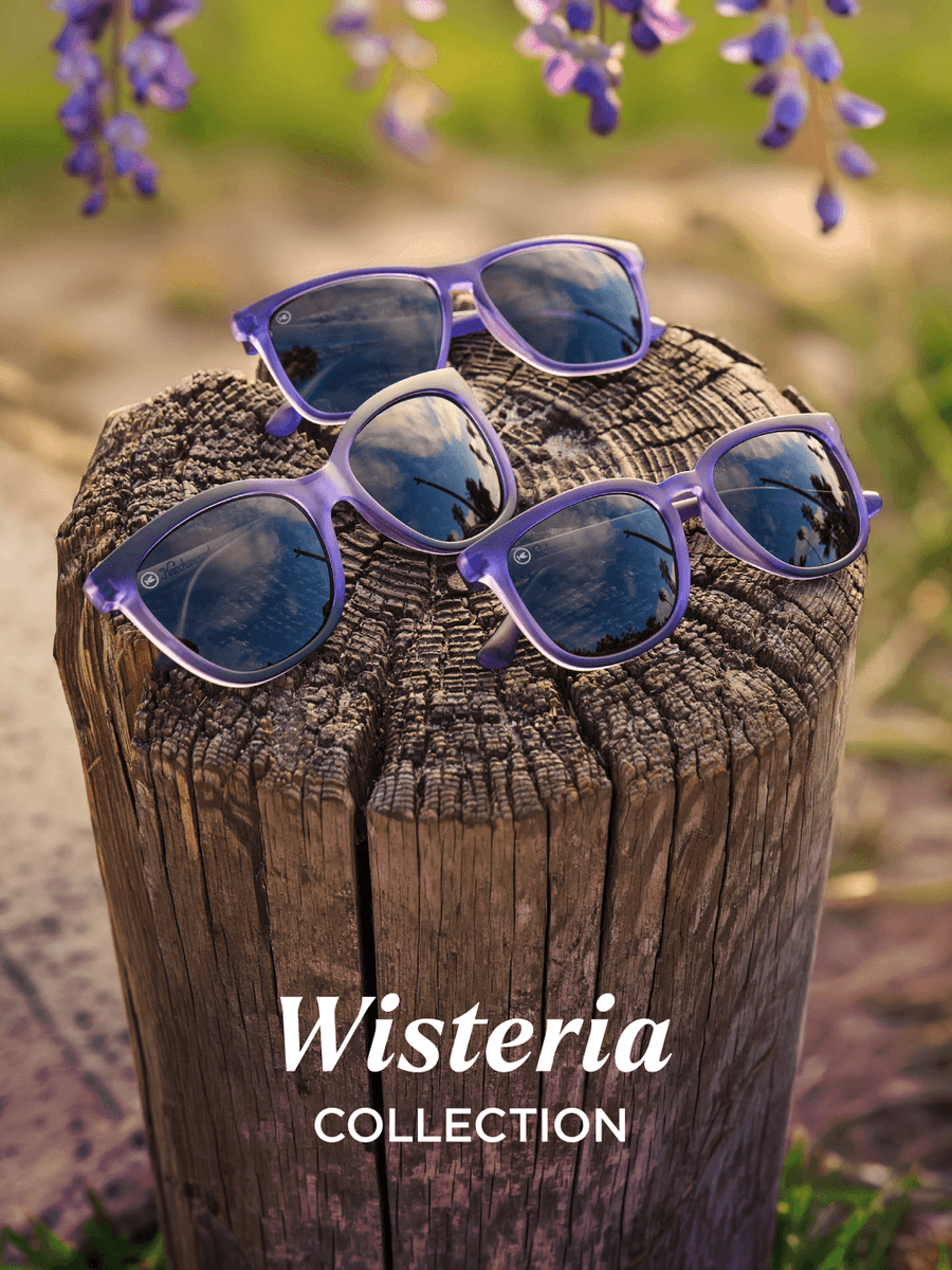 Knockaround's tweet photo. Add a little Wisteria to your rotation—a bright violet that fades to lavender, just like its namesake. Now blooming on three best-sellers: Deja Views, Fast Lanes, and Paso Robles. Pick your favorite: https://t.co/NSgijEfNYM https://t.co/iCZenX5zqa