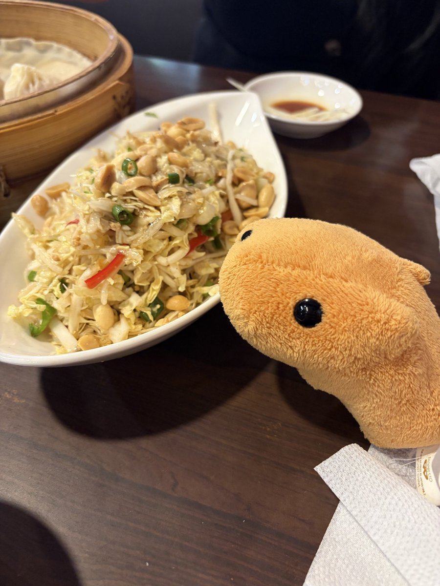U7H0MgX66beNbp3's tweet photo. 白菜サラダ〜ん
#カピバラさん
#水豚君
#kapibarasan https://t.co/IgKLCZdoma