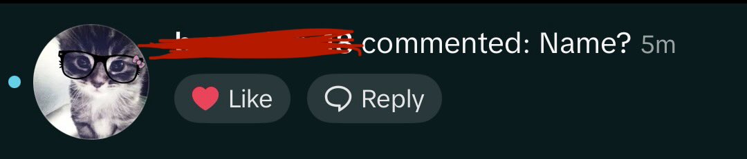 zakisbuilding's tweet photo. Very first tiktok comment that ask me for the name of the app ! 🥳

Just tested a new format and it "convert" right away !! 

Think that I’m on something 🤫👀 https://t.co/6zrPKAIwD0