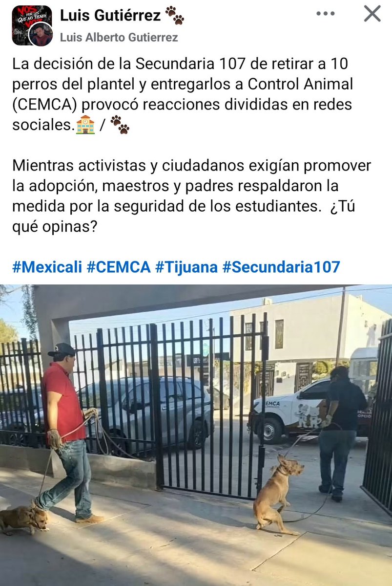 LicAnimalista's tweet photo. Ojalá Activistas de Tijuana puedan salvar a éstos inocentes de la muerte. @abogadosanimal  S.O.S. https://t.co/2RgifSGl7G