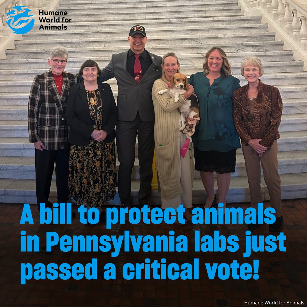 humaneworldeat tweet picture