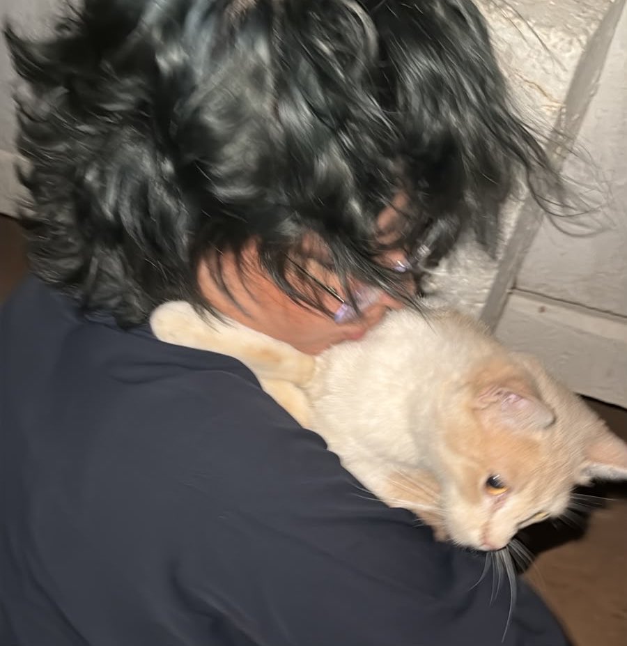 restlessJove's tweet photo. kittyyyyyyy https://t.co/rrHaO2MhwC