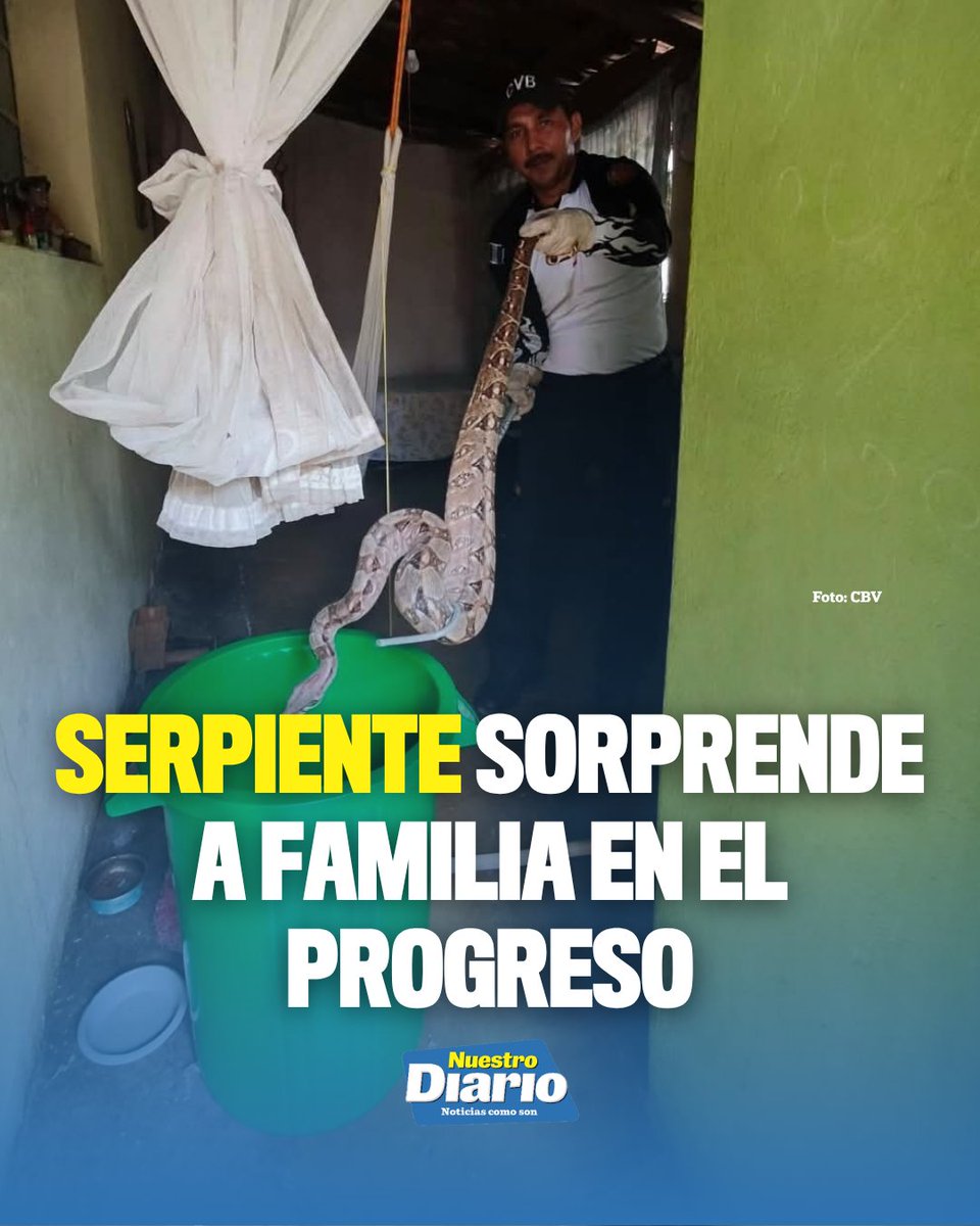🐍 SERPIENTE SORPRENDE A FAMILIA DENTRO DE SU VIVIENDA 🐍 Socorristas fueron alertados por la presencia de una serpiente dentro de una vivienda en San Cristó…