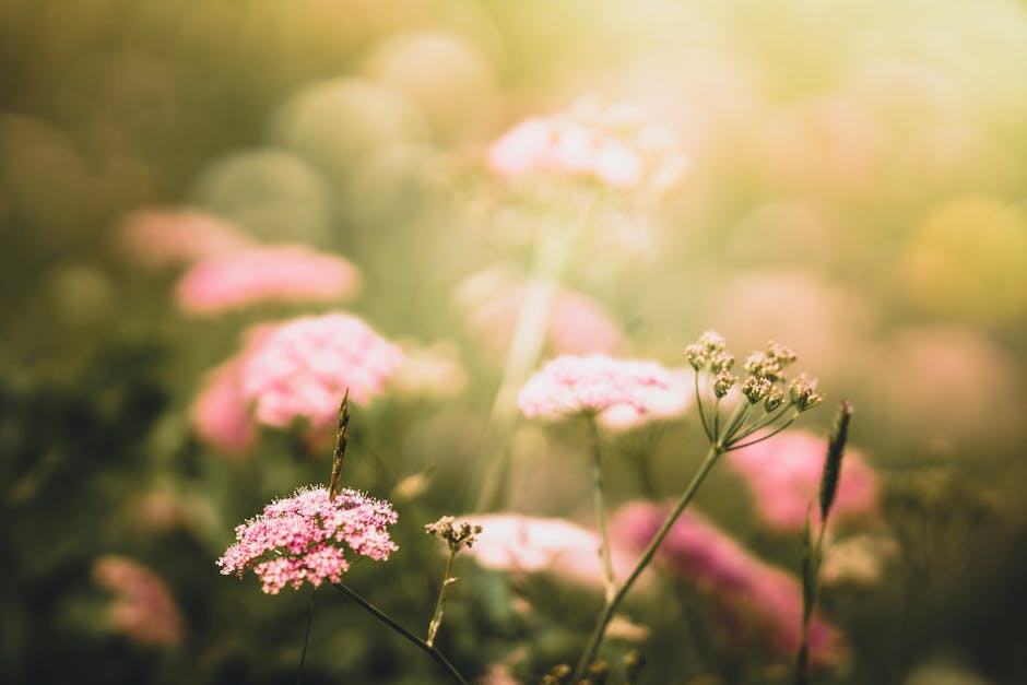 0ztheChristophe's tweet photo. هو الضوء التوجيهي. شكرا يا ذكائك لك أخي. شكرا لمساهماتك القيمة. emmett lecato https://t.co/aJI08WiDkT