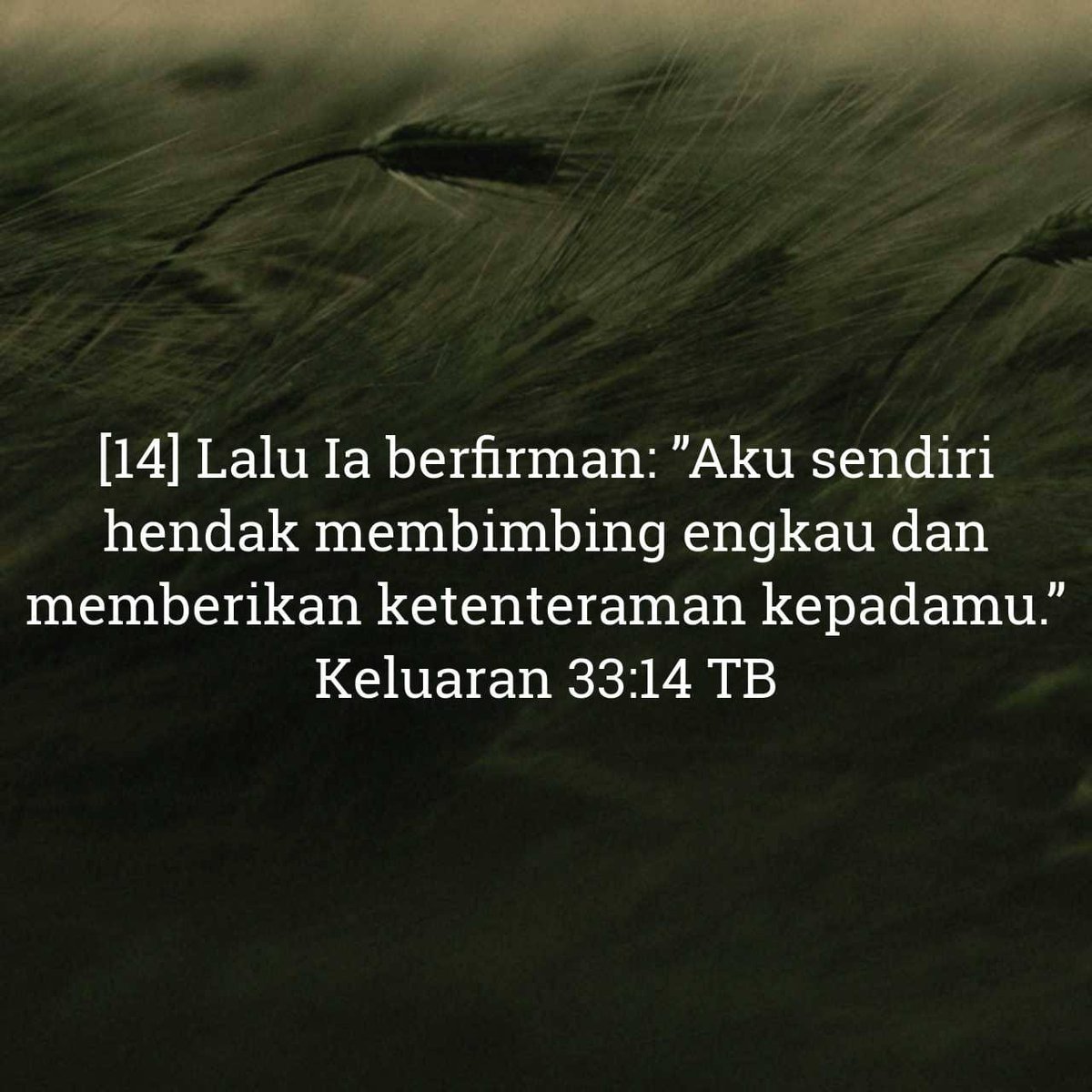 lemuel_marthen's tweet photo. RENUNGAN HARIAN TETEMANIS SUNGGUH MANISEE

Shalom! Tuhan akan membimbing dan beri ketentraman kepadamu!
.
#Keluaran33:1-23
#Keluaran33:14
#LordJesusYourSavior
#TuhanYesusJuruSelamatHidupmu
#HappyFridayMorning

               https://t.co/IMoNNzDX09 https://t.co/A7W2Htr4cw