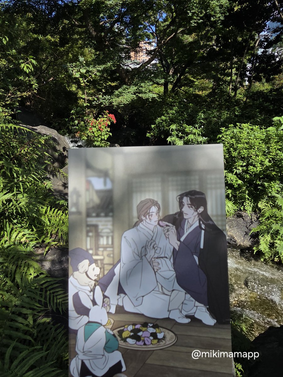 mikimamapp's tweet photo. 秋の日光浴
最近ずっと雨が続いていたのでやっと晴れて気持ちがいい☀️🌿
#리미티드런 #LimitedRun 
@eeej_3000 https://t.co/u0ZVMw26G0