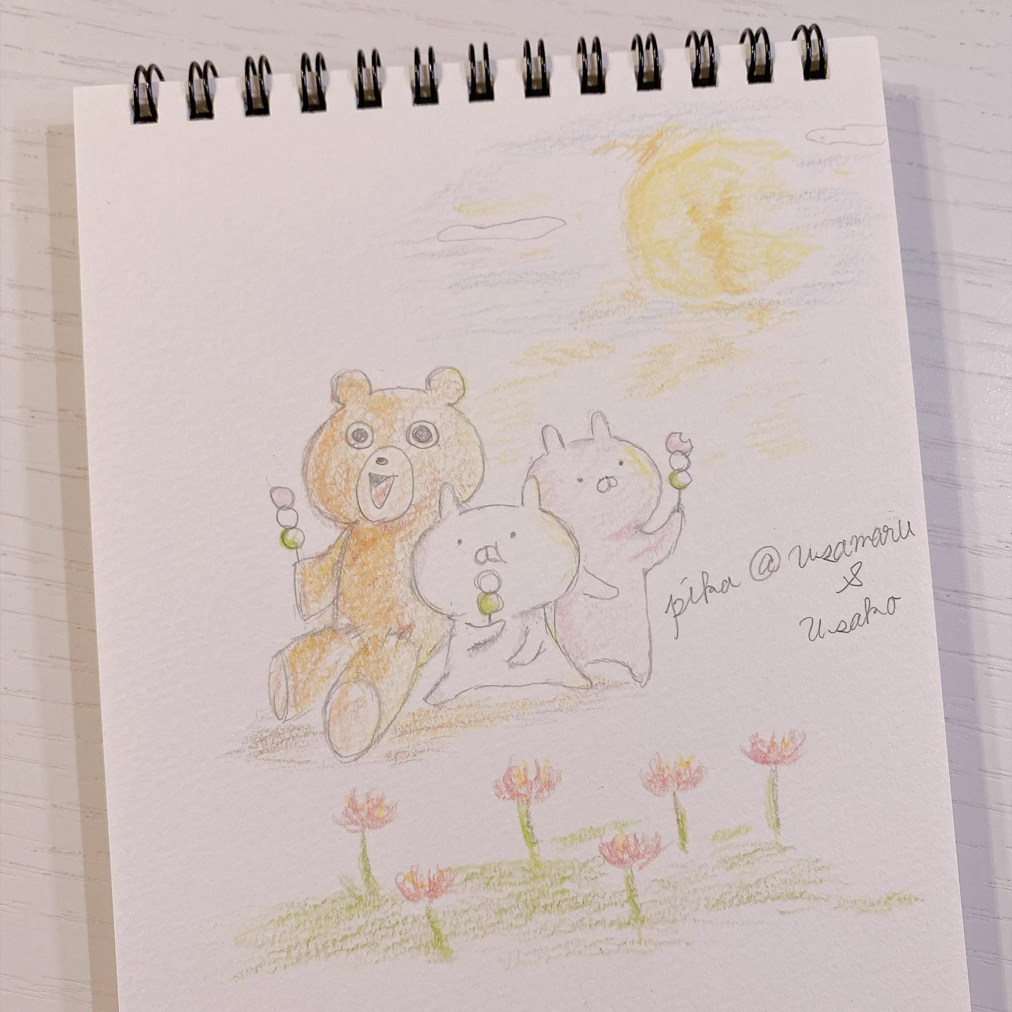 pika@うさまる&うさこ (@pika5s) / X