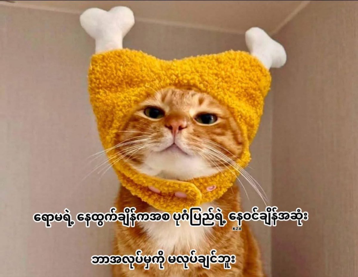 EiSKjw29 tweet picture