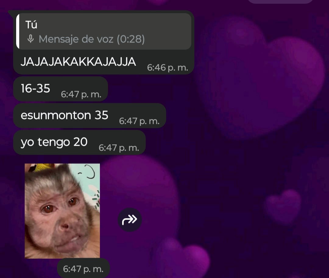 vaciaadeamorr_'s tweet photo. HILO quemando a @ usermatiapp (en tiktok) por violin y pajero ‼️‼️

edad: 22 (23 en noviembre)

dnde vive: flores, buenos aires

(va a FloresIronGym)

se hablaba con una menor d 13 años y la manipulaba (mi amiga)

d paso quemamos a la amiguita q lo defiende: @@ jazzminn.44 en ig https://t.co/hqZMCaA5Ll