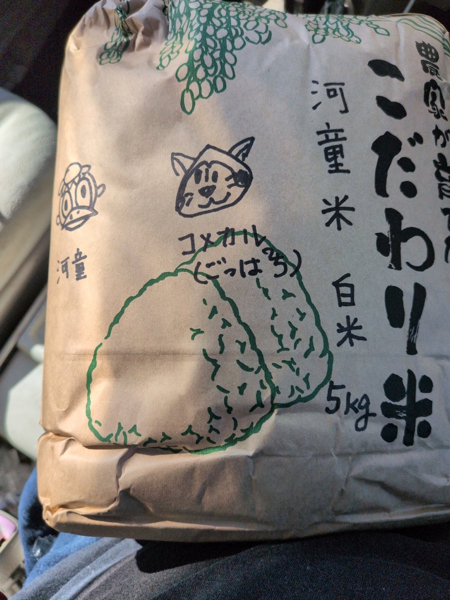 hatimitu16917's tweet photo. 今年も新米ゲット☺️
#goldenokinawa
#カッパーライス https://t.co/ZtZX71WEjQ