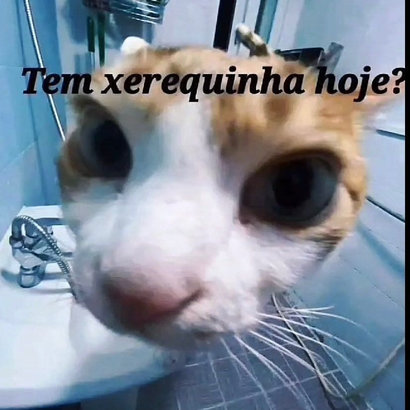 5gramasdememes's tweet photo. 🤔 https://t.co/QVNleZ4VeZ