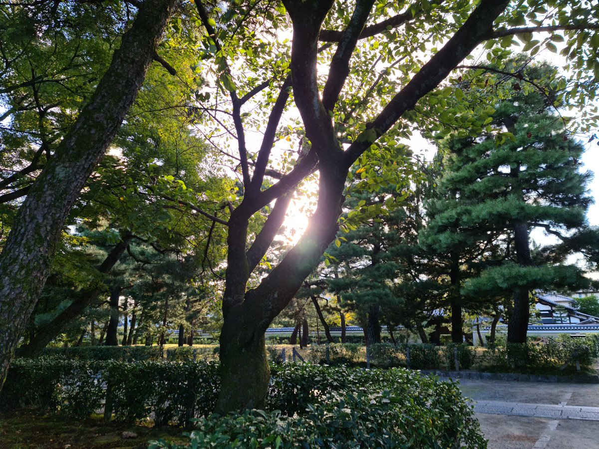 CneqTravel's tweet photo. Kyoto, Japan https://t.co/l6QIgivJUF
