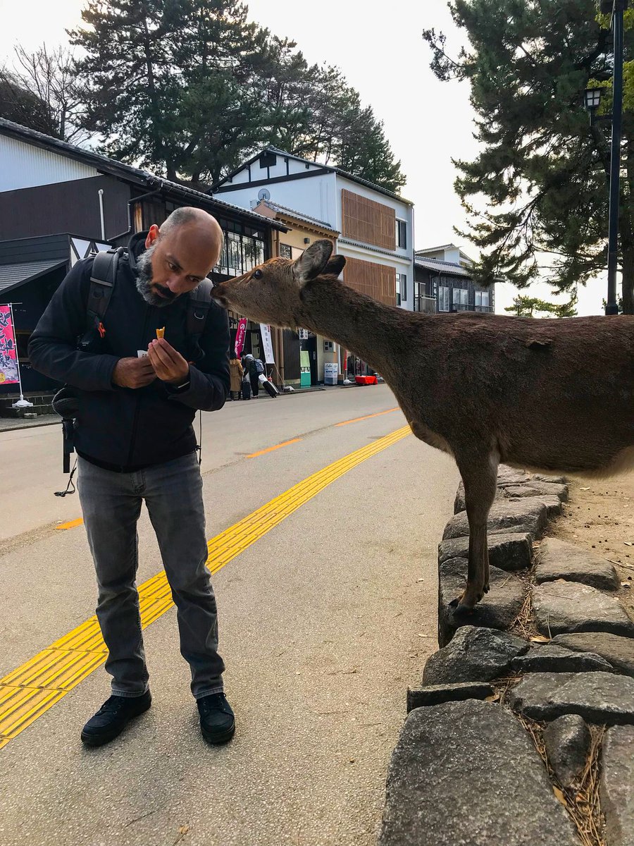 TheHumanEchoing's tweet photo. @Ryo_Saeba_3 I miss Japan so much!! https://t.co/eCOBZQNflR