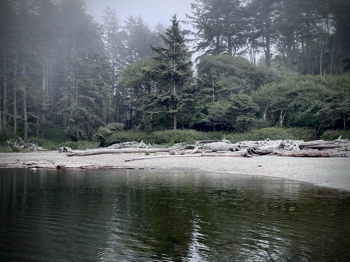 vsixlm's tweet photo. @wrenfps @DavidSassan5e2 @Dexsterpiece I love you also as I was looking through my pics I found the last one I like though there are sadly no birds 😔 https://t.co/woA8x3shCn