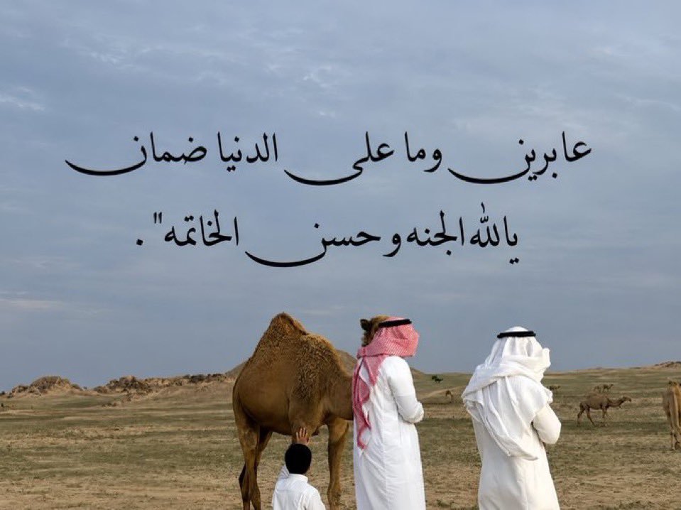 Mustafa62651455's tweet photo. https://t.co/JIQHQGllqA
