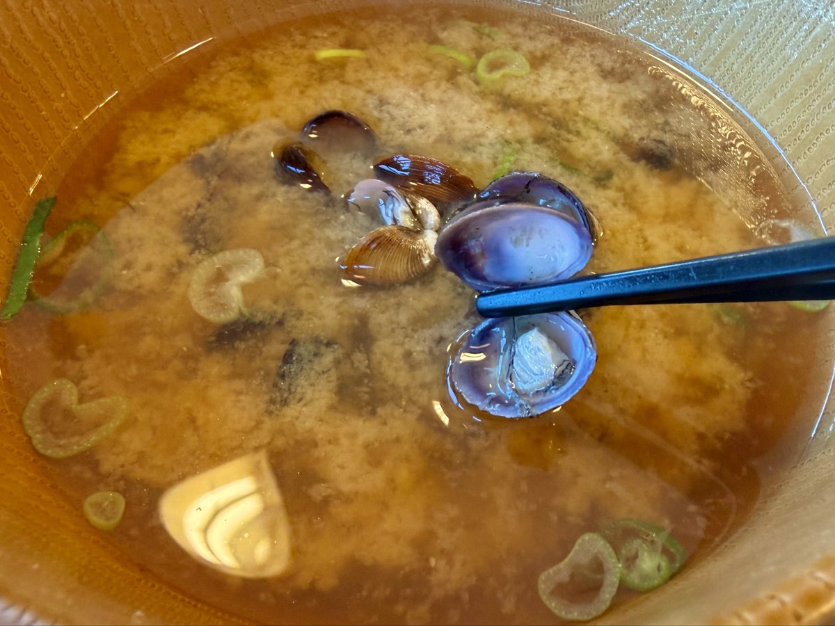 mamenitounyu's tweet photo. みそ汁のしじみを食べたら「貧乏くさい」って言われてフラれたことがあるんだけど、
貧乏くさいですか？ https://t.co/j92KZCixwc