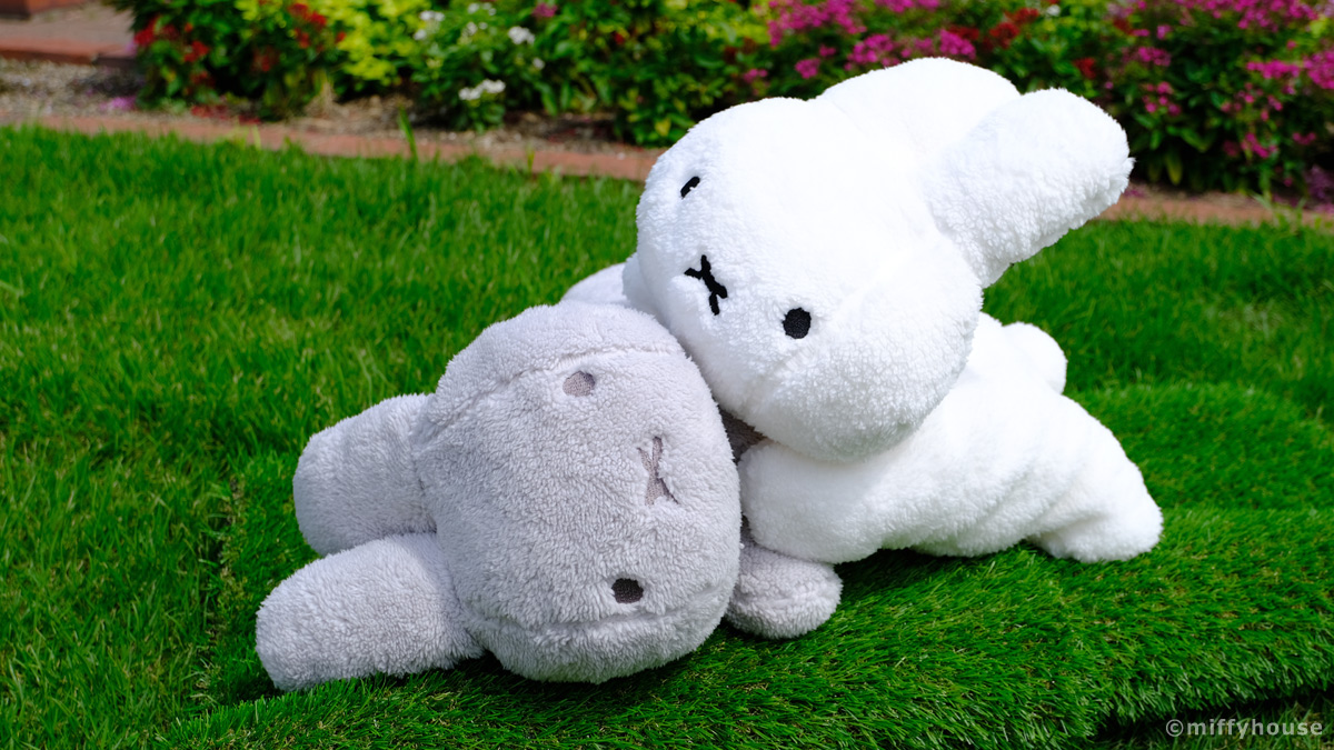 miffyhouse_info's tweet photo. カウント2.5

 https://t.co/akDMMBiE3Y https://t.co/a8Pn8hAKV1