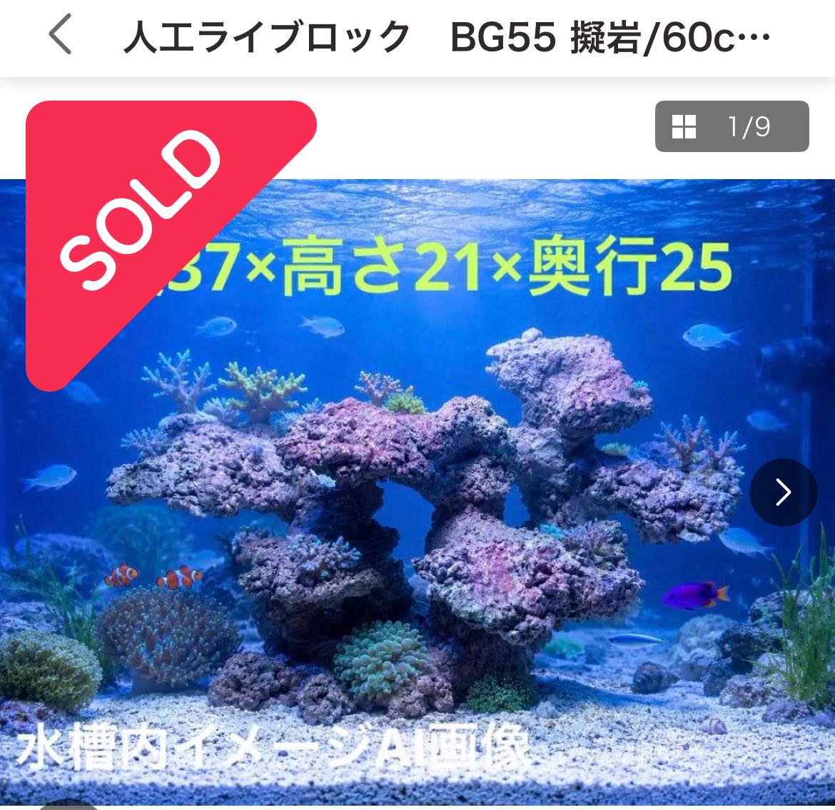 PROS40657775's tweet photo. MG10／PHR66／BG55

こちらの人工ライブロックは売約済みとなりました✨

たくさんの中から見つけていただき、本当にありがとうございます！

涼しくなり始めたところもあり、需要が高くなってきた気がします！
素敵な水槽作りの一部になっていると嬉しいです😊 https://t.co/UghdwkFqKQ