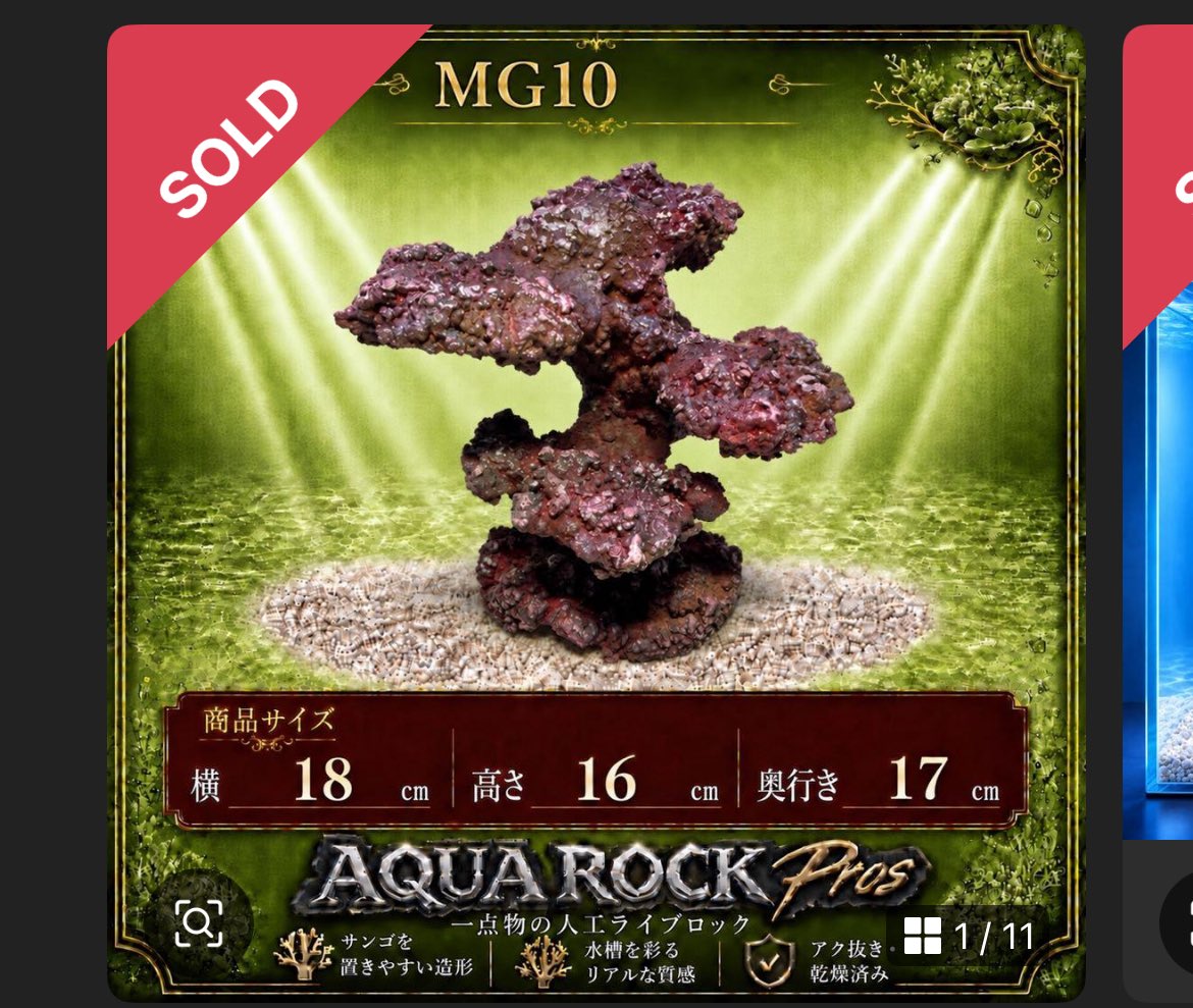PROS40657775's tweet photo. MG10／PHR66／BG55

こちらの人工ライブロックは売約済みとなりました✨

たくさんの中から見つけていただき、本当にありがとうございます！

涼しくなり始めたところもあり、需要が高くなってきた気がします！
素敵な水槽作りの一部になっていると嬉しいです😊 https://t.co/UghdwkFqKQ