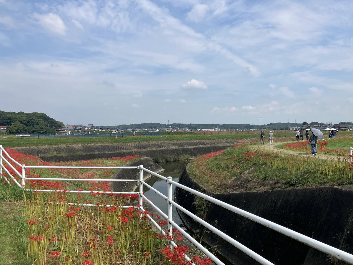 Erica_in_Abyss's tweet photo. 📍矢勝川堤
2026/9/25 https://t.co/L95wY9Fhto