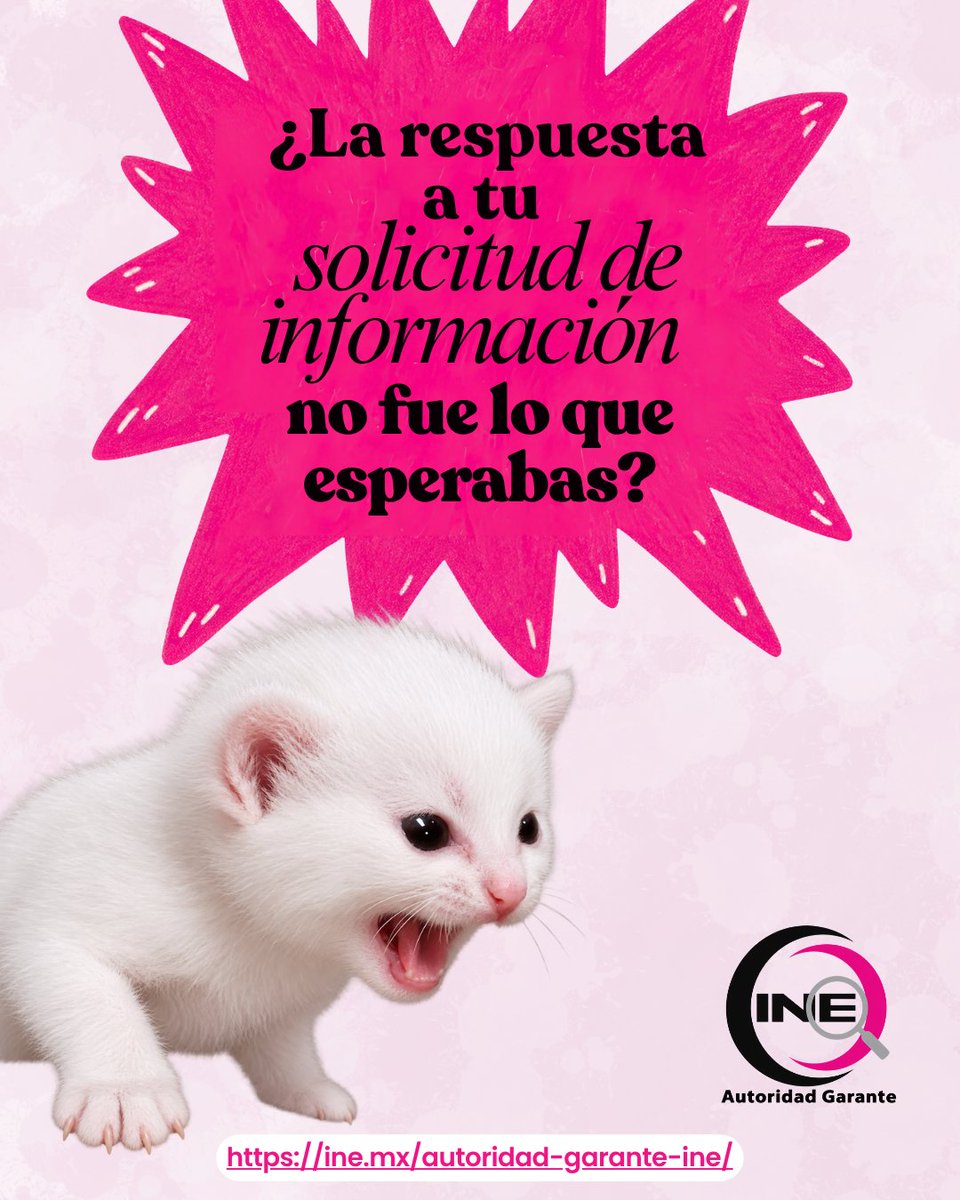 AG_INEoficial's tweet photo. #AGOrienta | ¿No estás conforme con la respuesta a tu solicitud de información? 🤔
¡Puedes presentar un recurso de revisión! 📄���
En esta infografía te explicamos cómo presentar tu recurso. 👇
📩 ¿Tienes dudas? ¡Contáctanos! 
En la AG del INE estamos para ayudarte a ejercer tu derecho de acceso a la información.
