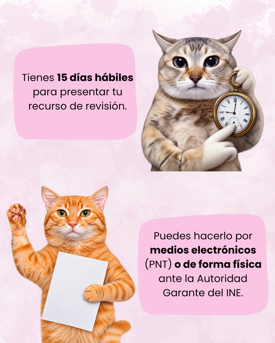 AG_INEoficial's tweet photo. #AGOrienta | ¿No estás conforme con la respuesta a tu solicitud de información? 🤔
¡Puedes presentar un recurso de revisión! 📄���
En esta infografía te explicamos cómo presentar tu recurso. 👇
📩 ¿Tienes dudas? ¡Contáctanos! 
En la AG del INE estamos para ayudarte a ejercer tu derecho de acceso a la información.