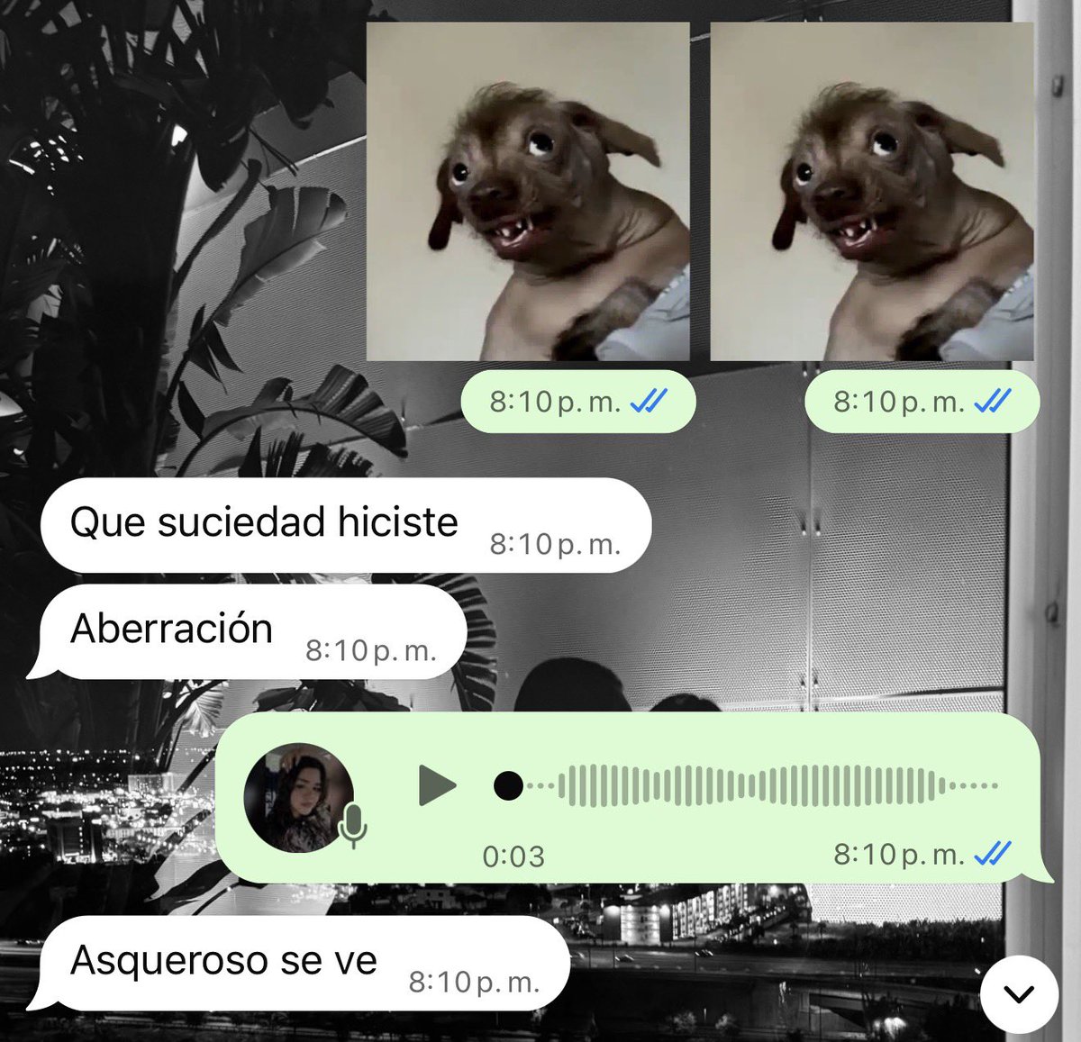 emyestrada_'s tweet photo. Yo con toda la ilusión de hacer ramen buldak.
Mi prima en corto: https://t.co/xM5lsB9UWO
