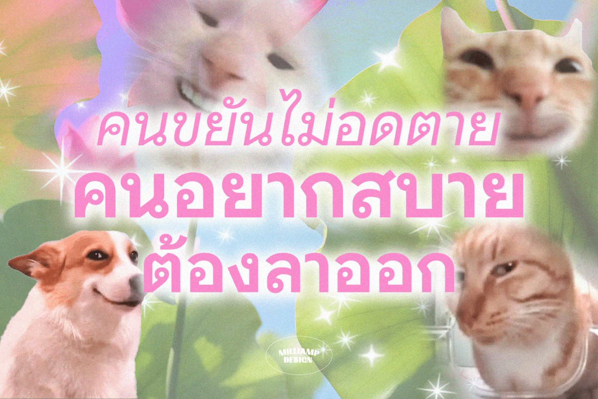 Phibabe26's tweet photo. เช้านี้ที่ฝนตก คิดละอยากลาออกนอนอยู่บ้านเง้ยยยยยยย https://t.co/lv0RZgWGZg