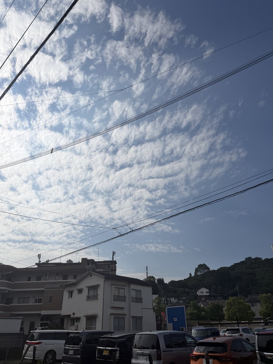 MVSP_Q's tweet photo. おはようございます☀

朝から綺麗ないわし雲ですね☁️

大分市は本日晴れ予報ですが、週末から来週にかけて雨が降りそうです☔️
台風の影響でしょうか…

本日も一日よろしくお願いします！
#企業公式つぶやき部
#企業公式アカウントが毎朝地元の天気を言い合う https://t.co/juOWCcdKoZ