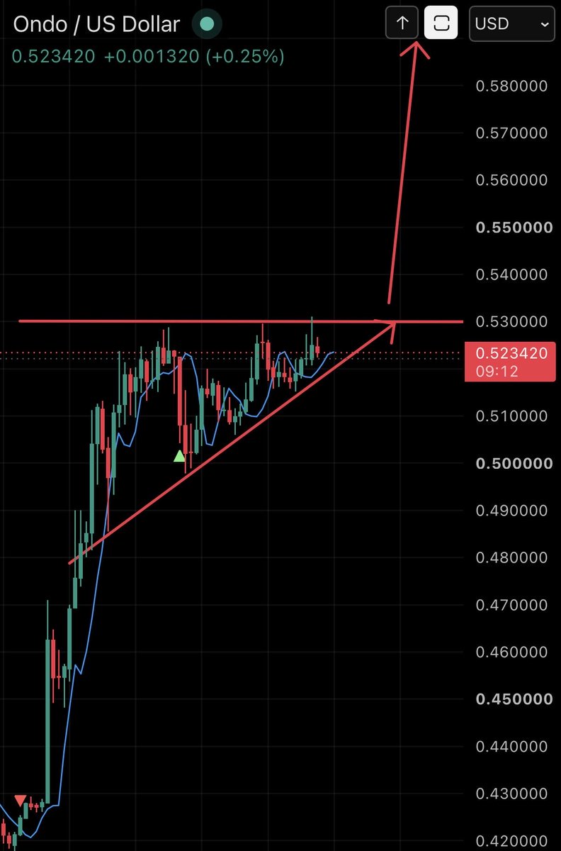 wildlybullish's tweet photo. 🚨 BREAKING: $ONDO FORMS BULL FLAG FOLLOWING LATEST BREAKOUT https://t.co/B4lYK97Pxk