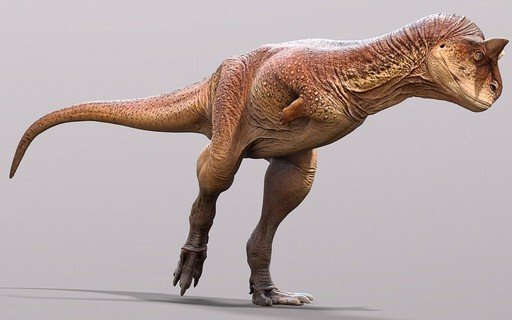 GabrielLim56726's tweet photo. Refiz o visual da Caroline minha carnotaura psicopata louca de dupla personalidade.

 #família_dino_reboot #ᴀɴᴛʜʀᴏᴀʀᴛ #dinooc #mönsterdesign #OCㅤㅤ  #carnortauro 

Nome: Caroline.
Idade: 16 anos 
Gênero: feminino/ ♀️/
Espécie: Carnotaurus sastrei https://t.co/LlMMsTgKBG