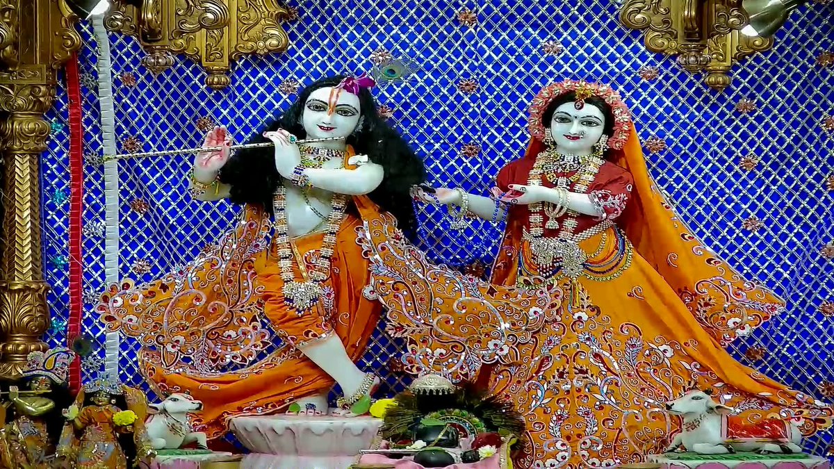 Iskcon_vvn's tweet photo. —❀꧁𝐻𝑎𝑟𝑒 𝐾𝑟𝑖𝑠ℎ𝑛𝑎꧂❀—
🌿🛕Mangla Darshan🛕🌿
—❀꧁25-09-2026꧂❀—
🌹 Sri Sri Radha Giridhariji🌹 
🌷ISKCON VVN Anand🌷
—❀꧁𝐻𝑎𝑟𝑒 𝐾𝑟𝑖𝑠ℎ𝑛𝑎꧂❀— https://t.co/HUaXxHijFT