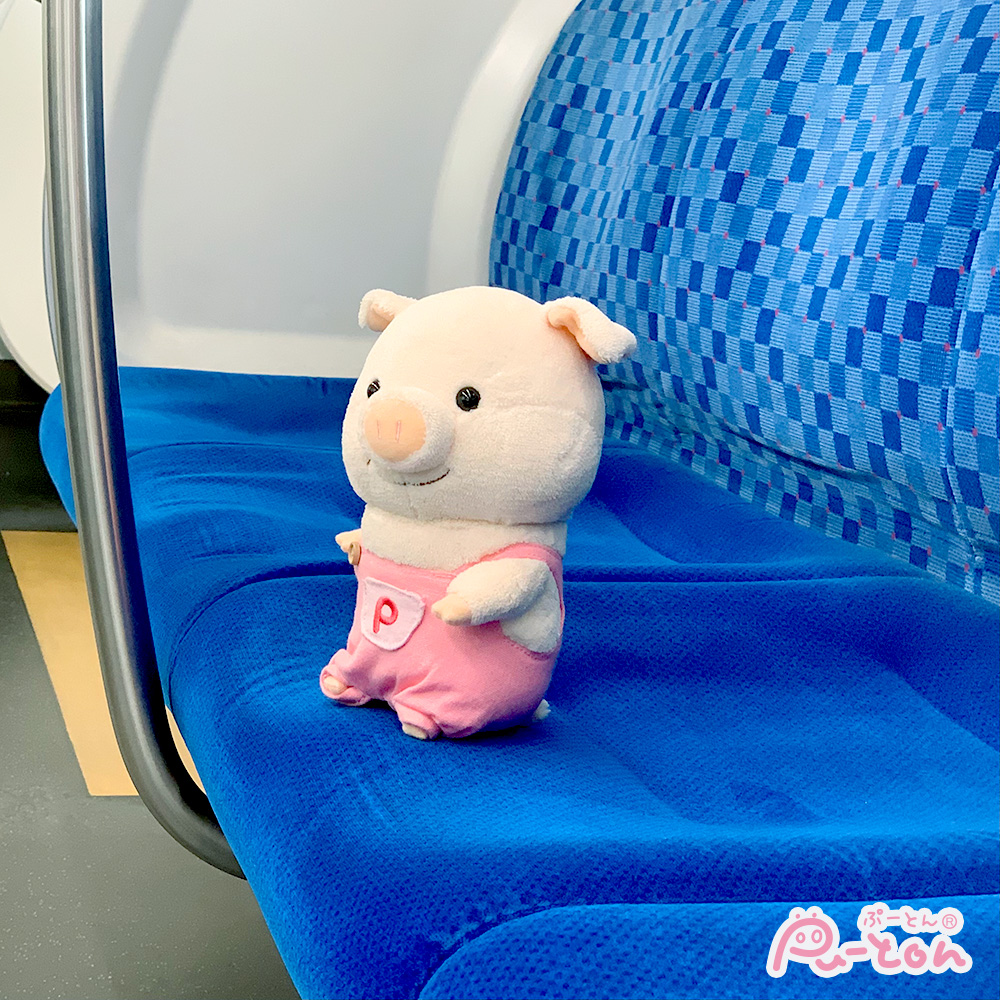 puuton_ndi's tweet photo. がたん、ごと～ん🌤️🪟

#ぷーとん #電車 https://t.co/PyKlVRGUSs