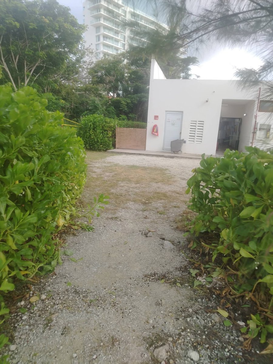 quintanaroonews's tweet photo. #Cozumel #DenunciaCiudadana Pésimo Hotel The Westin. La playa es publica y ellos la cierran con puerta y candado. https://t.co/CdufbLV6I5