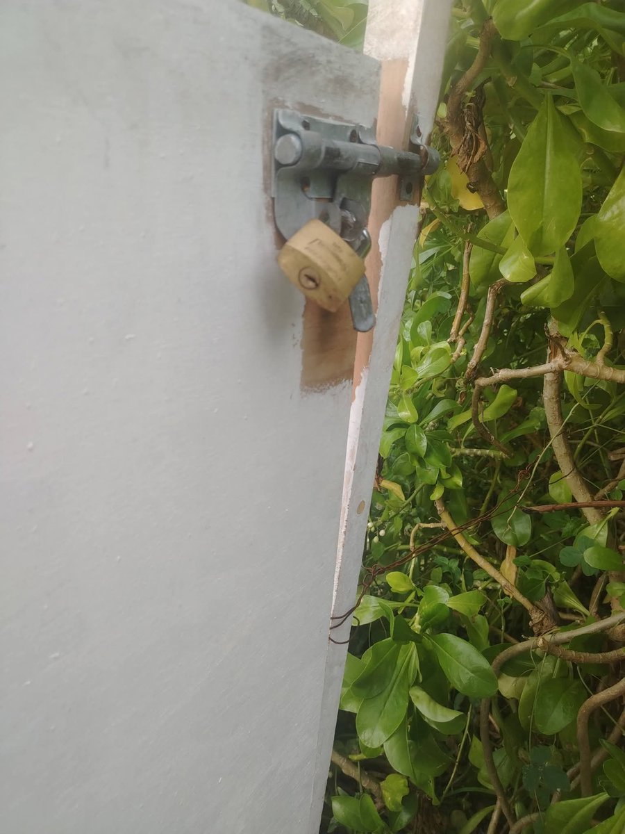 quintanaroonews's tweet photo. #Cozumel #DenunciaCiudadana Pésimo Hotel The Westin. La playa es publica y ellos la cierran con puerta y candado. https://t.co/CdufbLV6I5