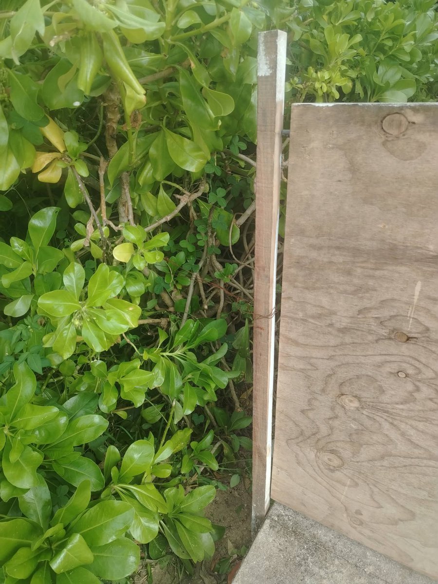 quintanaroonews's tweet photo. #Cozumel #DenunciaCiudadana Pésimo Hotel The Westin. La playa es publica y ellos la cierran con puerta y candado. https://t.co/CdufbLV6I5