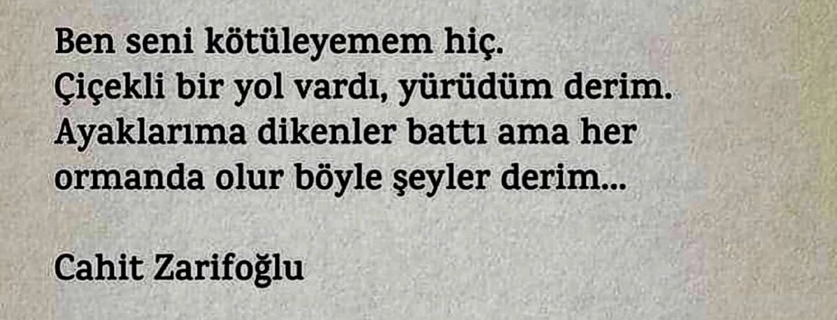 gokyuzuile's tweet photo. Dikenlere rağmen yürüdüm. Hiç suçlamadım çiçekleri.. https://t.co/sczHj18B7a
