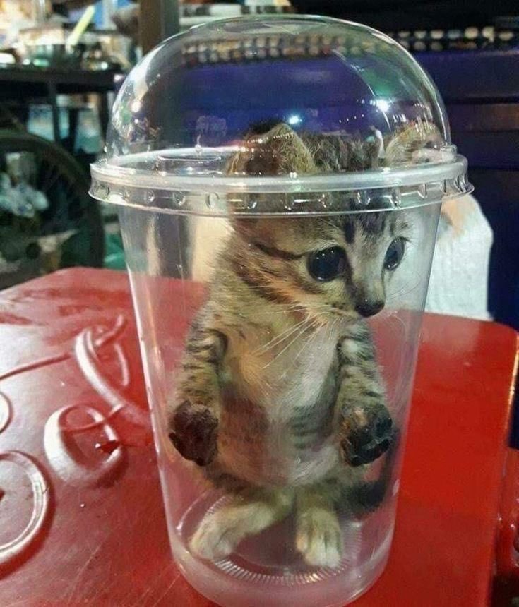 QueDanRan's tweet photo. Parem de salvar essa foto, eu tenho fobia social https://t.co/Jg3DgQxNze