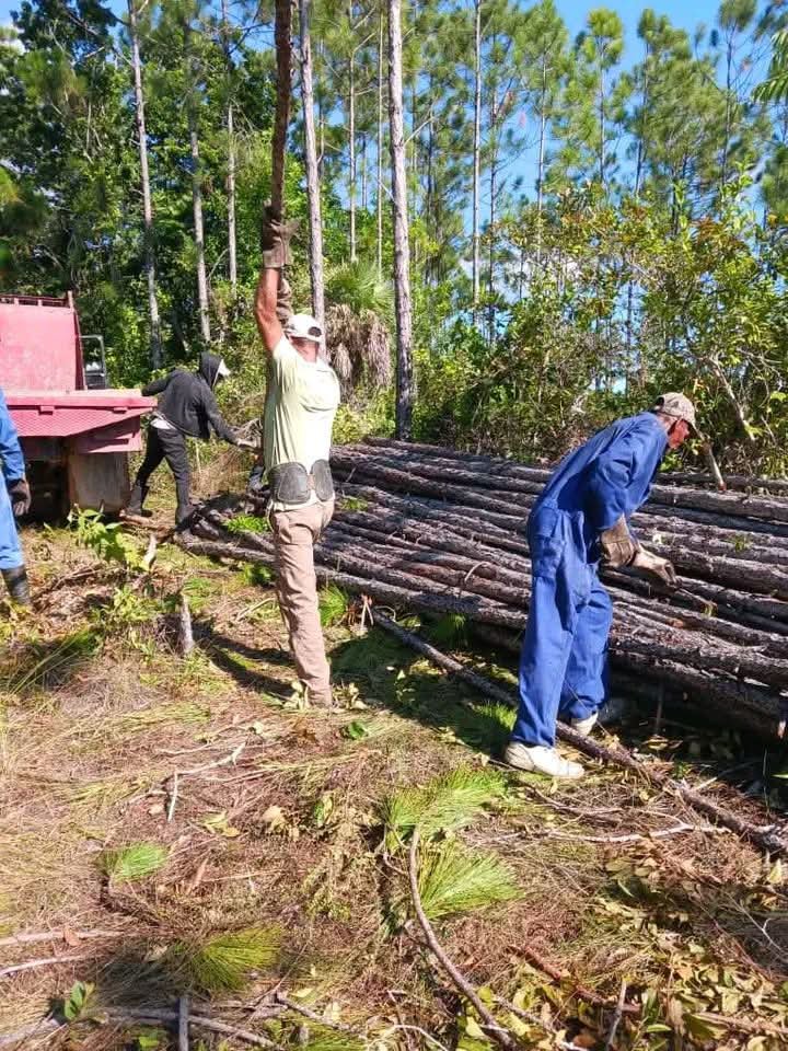 GrandaMorejon's tweet photo. En #PinardelRío, un pueblo trabajando, con voluntad, esfuerzo y sacrificio, por las nuevas victorias que la Patria necesita.

#Cuba
#UnidosXCuba https://t.co/gzxepR84wA