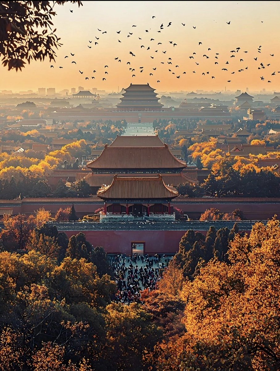 wanglia15454647's tweet photo. 🏯 Beijing — timeless, majestic, full of history. https://t.co/NdCQiQp5TL